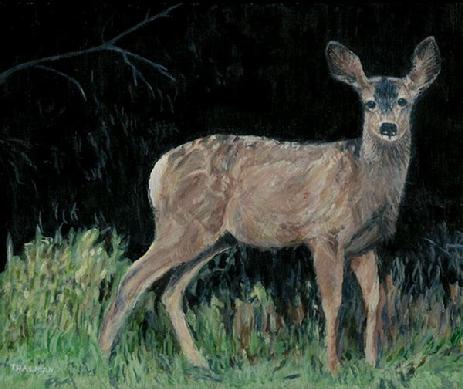 Yearling by Mark Thalman